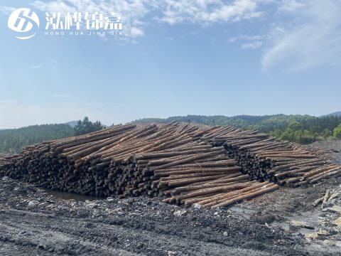 河道打樁為什么選擇松木樁來處理軟地基？-松木樁施工使用范圍